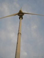 Sommerfest Baumberge 2010 087